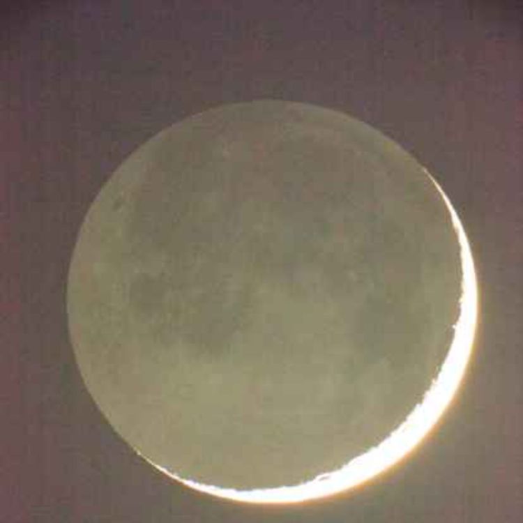 cover art for 1 - Qu'aurais-je pu voir ?