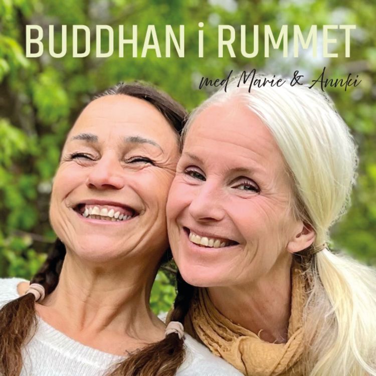 cover art for #3 Buddhan i Rummet