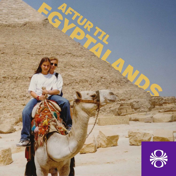 cover art for 4. þáttur