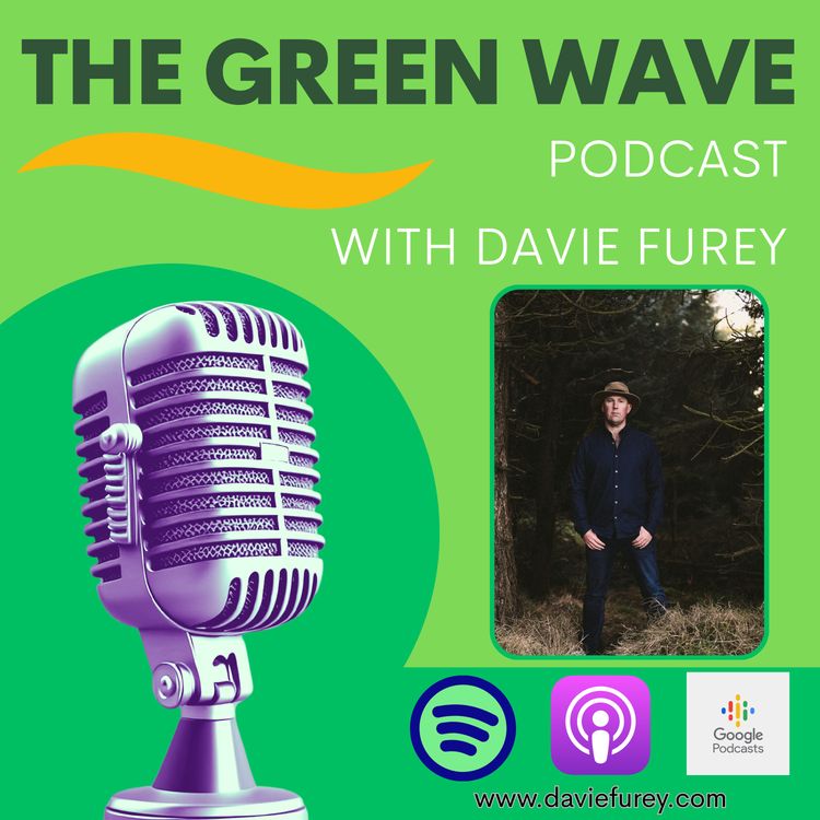 cover art for Davie Furey with Sean Boylan