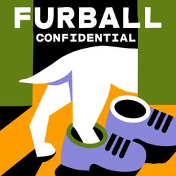 cover art for Furball Confidential