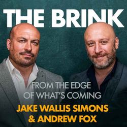 cover art for The Brink