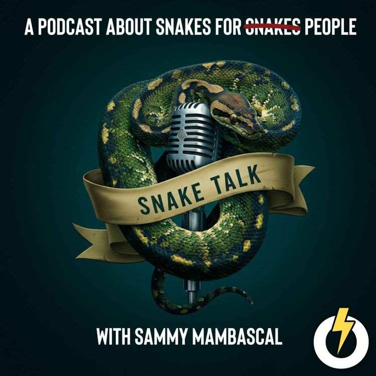 cover art for Welcome To Snake Talk