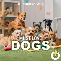 cover art for Must Love Dogs