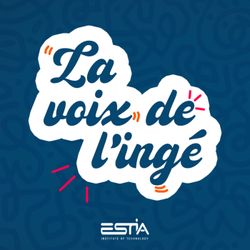 cover art for La voix de l'ingé