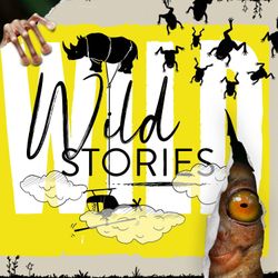 cover art for Wild Stories