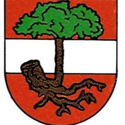 cover art for Hallooo Stockerau