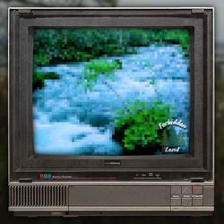 cover art for Forbidden TV