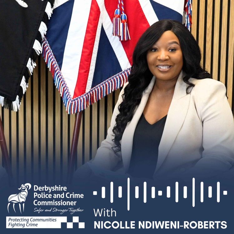 cover art for Anti-Social Behaviour Public Assurance Meeting Nov 2024