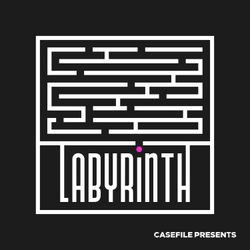 cover art for The Labyrinth