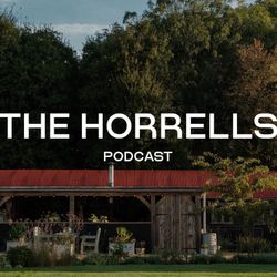 cover art for The Horrells