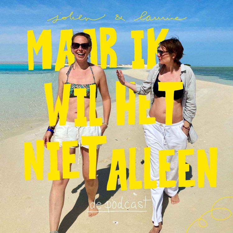 cover art for Afl. 4 - Van roze wolk naar realiteit | Het Juridische Stuk