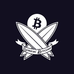 cover art for Surfin' Bitcoin