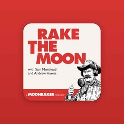 cover art for Rake The Moon