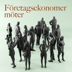 cover art for Företagsekonomer möter