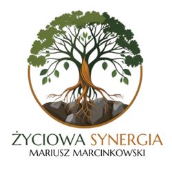 cover art for Życiowa Synergia