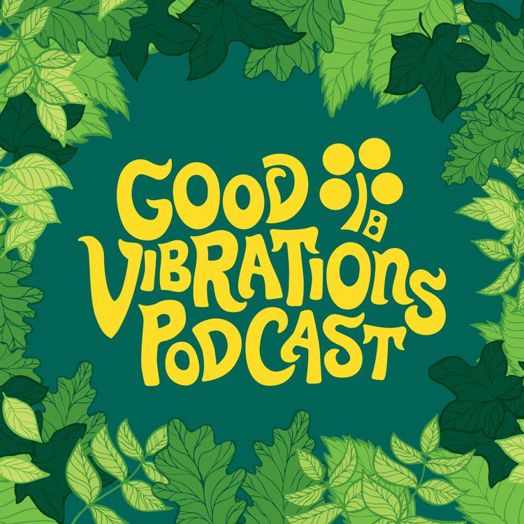 cover art for The Sounds of Good Vibrations