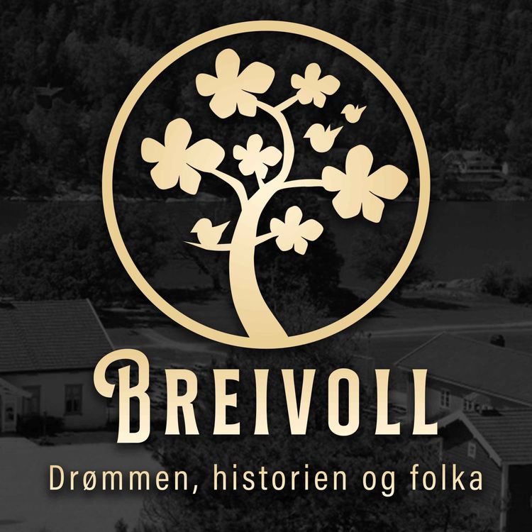 cover art for 8. Hugget i stein