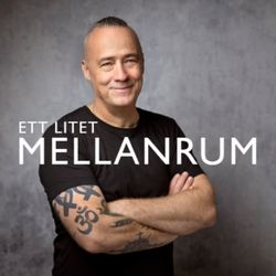 cover art for Ett litet mellanrum