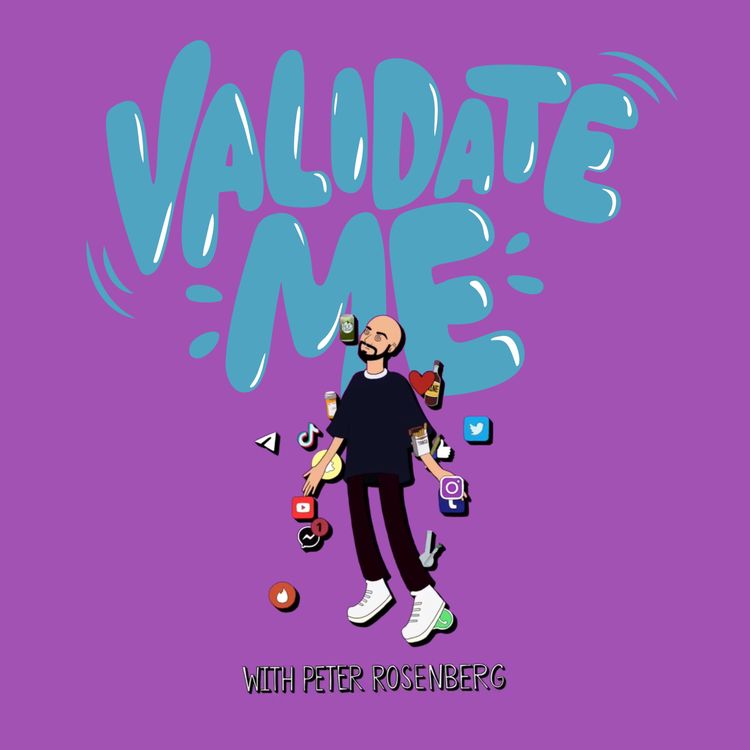 cover art for Introducing Validate Me