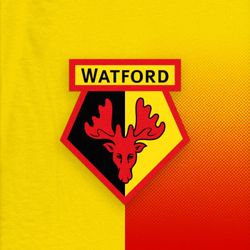 cover art for Watford FC Official Podcast