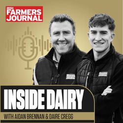 cover art for Inside Dairy Teasers