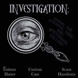 cover art for investigation: