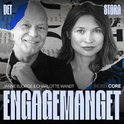 cover art for Det Stora Engagemanget