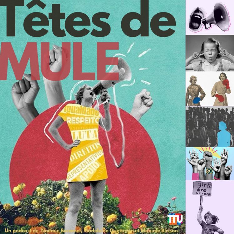 cover art for Têtes de Mule - Ida B. Wells-Barnett