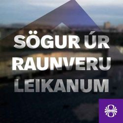cover art for Sögur úr raunveruleikanum