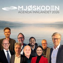 cover art for MJØSKODEN