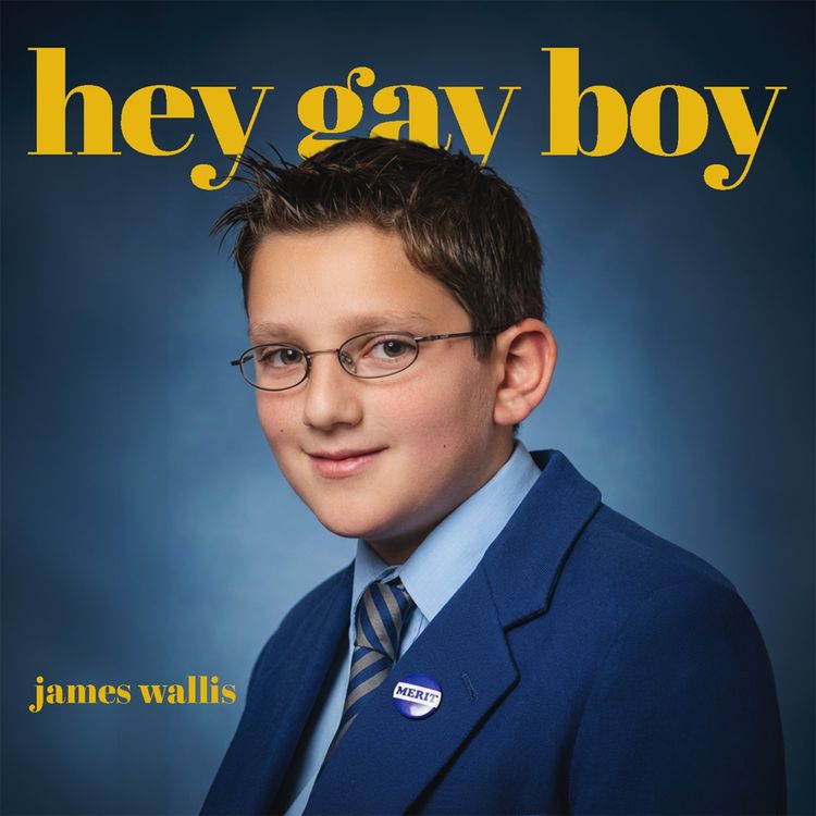cover art for the velvet rage: the gay bible