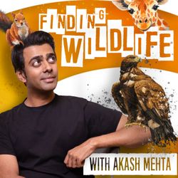 cover art for Finding Wildlife with Akash Mehta