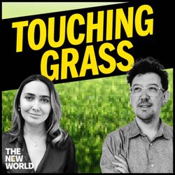 cover art for Touching Grass