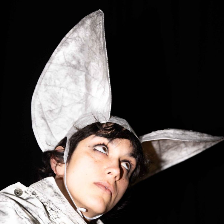 cover art for In Which We Hear Bats