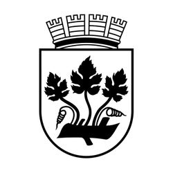 cover art for Stavanger kommune