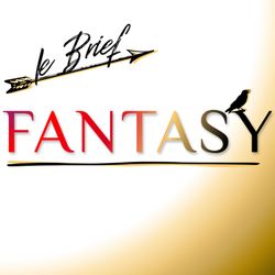 cover art for Le Brief Fantasy
