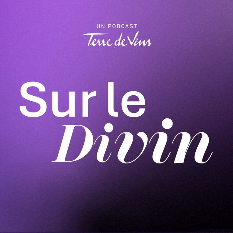 cover art for Teaser - Un beguin pour la Bégude