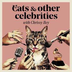cover art for Cats and Other Celebrities