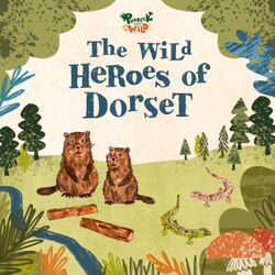 cover art for The Wild Heroes of Dorset 