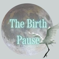 cover art for The Birth Pause