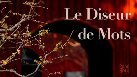 cover art for Le Diseur de Mots