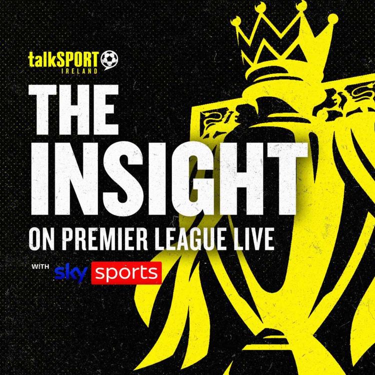 cover art for Welcome To The Insight