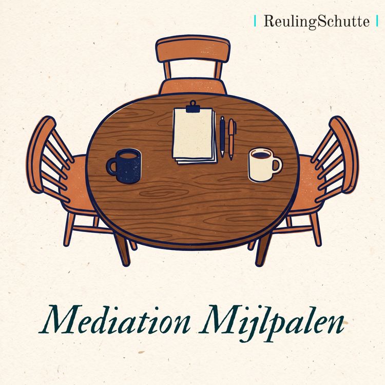 cover art for 1. 15 jaar ReulingSchutte: De sprong