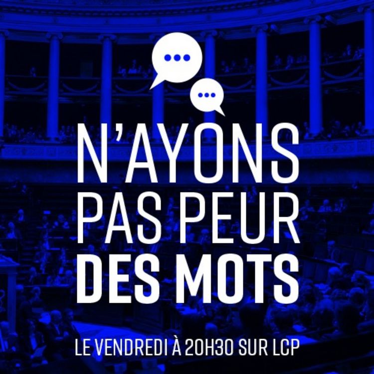 cover art for 03 NPPM - N'ayons pas peur des mots - LCP - 