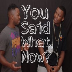 cover art for You Said What Now?