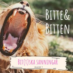 cover art for Bitte & Bitten: Bit(t)ska sanningar