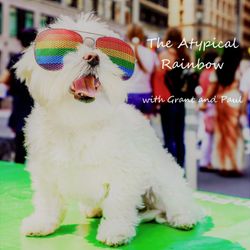 cover art for The Atypical Rainbow
