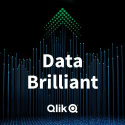 cover art for Data Brilliant