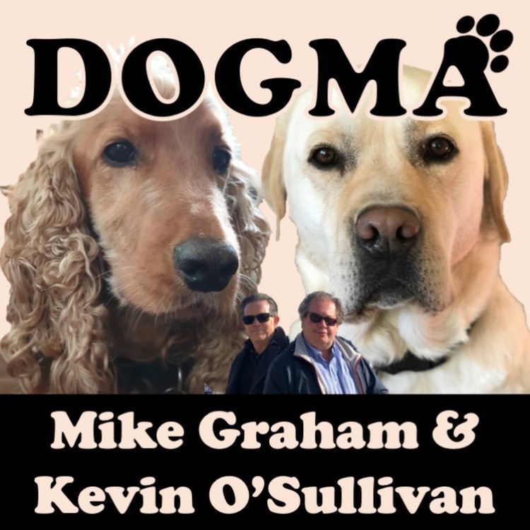 cover art for What is Dogma?